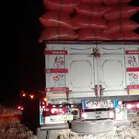 کاه نرم درجه یک ارسال به تمام کشور