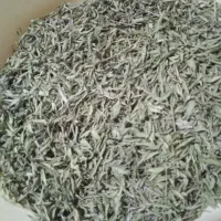 آویشن‌کوهی