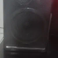 باند ظبت