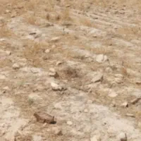 زمین دره لوک