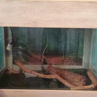 تراریوم خزنده با لوازم