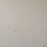 برق کشی ولوله کشی