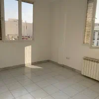 ۱-۳متر کلنگی نیروهوایی
