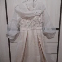 لباس مجلسی نباتی