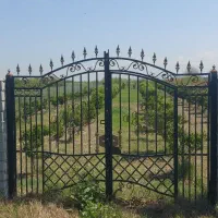 فروش-زمین-باغی