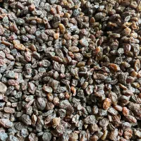 سوغات و خشکبار کشمش گردو بادام مویز