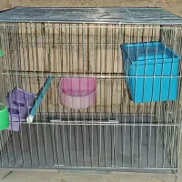 قفس مرغ عشق