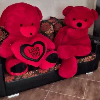 خرسهای خوشگلو بامزه