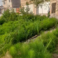 زمین-104متری-نسق-شهری-مدرس-پشت-اتشنشانی