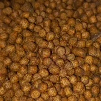 غذا خشک سگ گربه با قیمت قدیمم (عمده و جزئی)