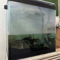 آکواریم شیشه دور خم 60*60