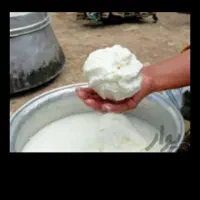 کره گوسفندی