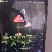 تبلت سامسونگ اندروید ۷.۱.۱