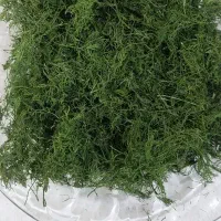 سبزی خشک