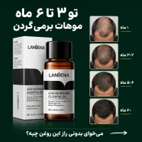 روغن رشد مو و ریش لانبنا