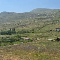 زمین زراعی در روستای قره خاچ
