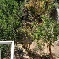 نیاز کارگر