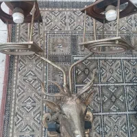 روشنایی گازی