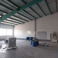 استخدام
