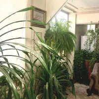 همکف۶۵متربنا۵۰مترحیاط اختصاصی جنوبی
