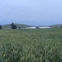 همکاری