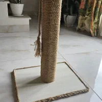 اسکرچر گربه