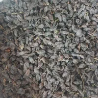 کشمش آفتابی