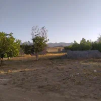 زمین ساردو