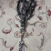 قلاده سگ خانگی