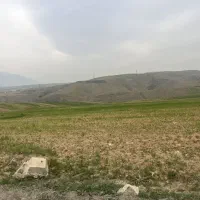 فیش ندامتگاه