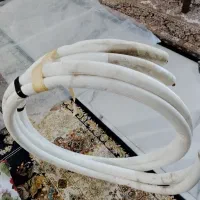 لوله مسی کولر ال جی