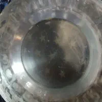 بشقاب پلویی وخورشتی