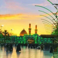 تور کربلا دو سر هوایی با مجوز vip