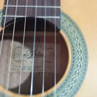 گیتارآریاAk30