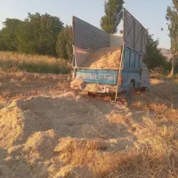 فروش کاه. دیم