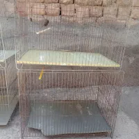 قفسه پرنده. درحد