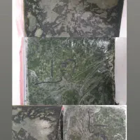 سبزی خورشتی و آشی