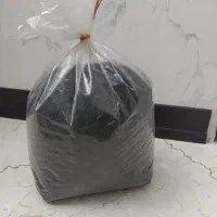 چای درجه یک لاهیجان
