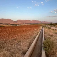 یک-هکتار-زمین-کشاورزی-زیر-قیمت