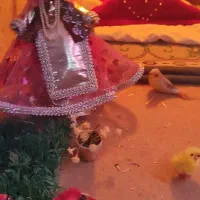 کلبه