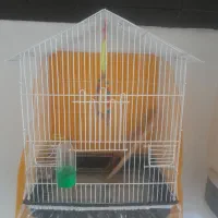 قفس پرنده بزرگ