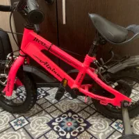 دوچرخه آلپیناسایز ۱۲