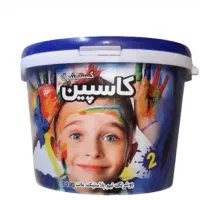 رنگ پلاستیک کاسپین درجه یک و دو