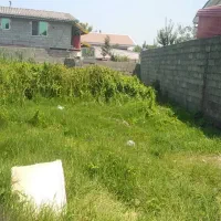 فروش-زمین-281م-مستطیلی-شکل-در-میان-محله-کیاشهر