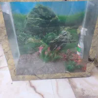 اکواریوم سالم با تمام وسایلش