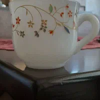 12عدد فنجان آمریکایی