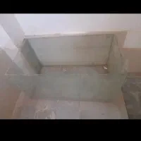 حیوانات آکواریومی