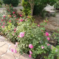 فروش-باغ-ویلا