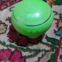 باند کوچک نو