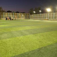 چمن مصنوعی وفا (دور میدان دلاوران)